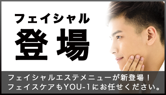 �t�F�C�V�����G�X�e